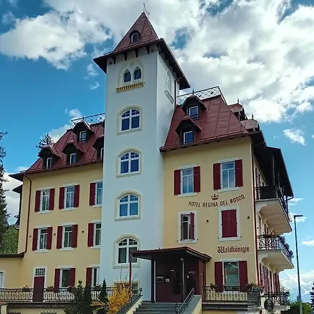 Hotel Regina del Bosco-2